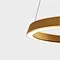 Ring pendant light,gold pendant light and modern pendant lighting